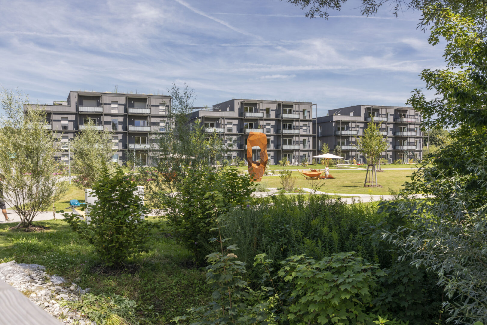 2024-07-09_Wangen_Ref-ER-3775 Auwiese